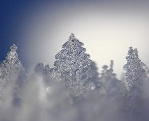 [Wasser in allen Formen]