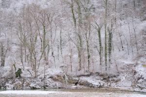 Winter at the River