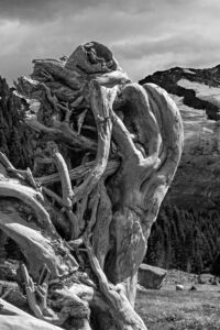 Holzstrukturen