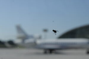 [Flieger]