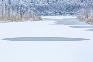 Ainringer Moor, Winter