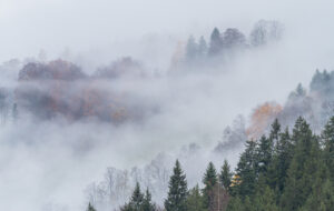 Nebelstimmung in Hinterbrand